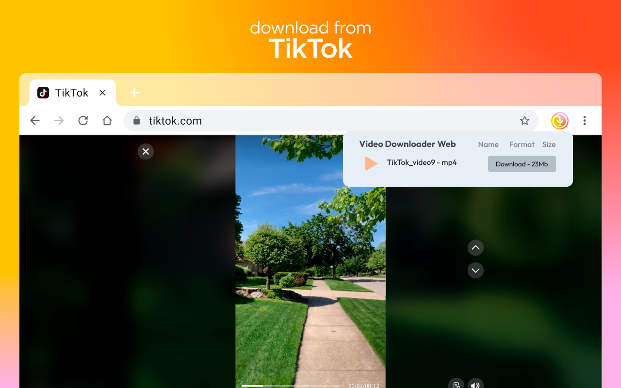 Video Downloader Web截图1