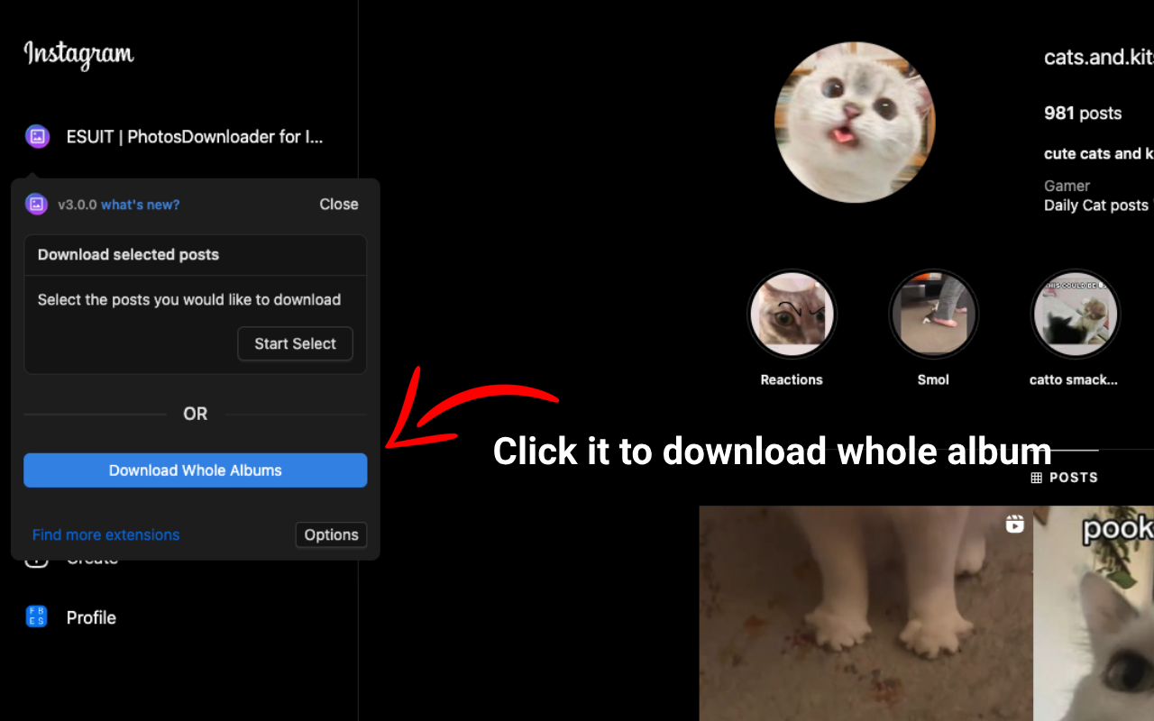 ESUIT | Photos Downloader for Instagram™截图3