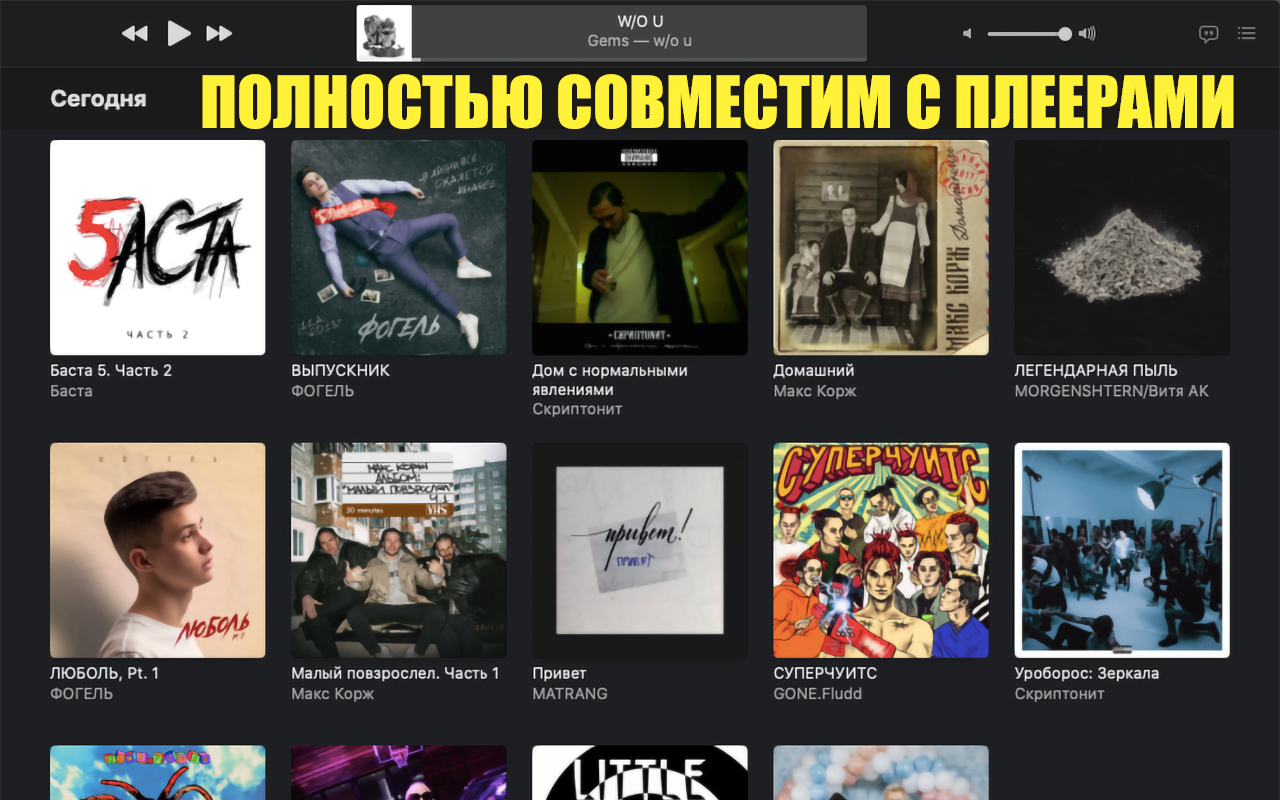 Yandex Music Downloader截图1