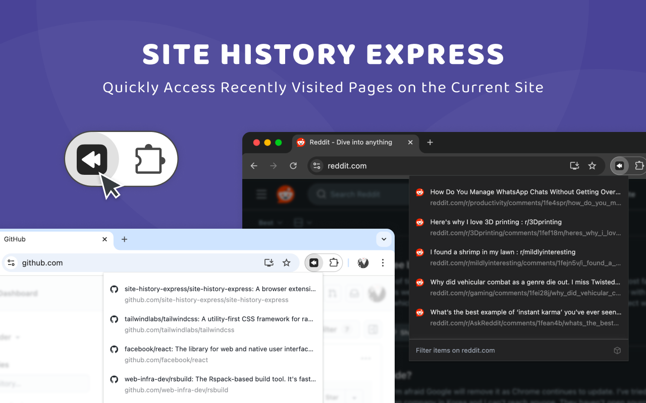 Site History Express: 快速导航网站历史记录截图1