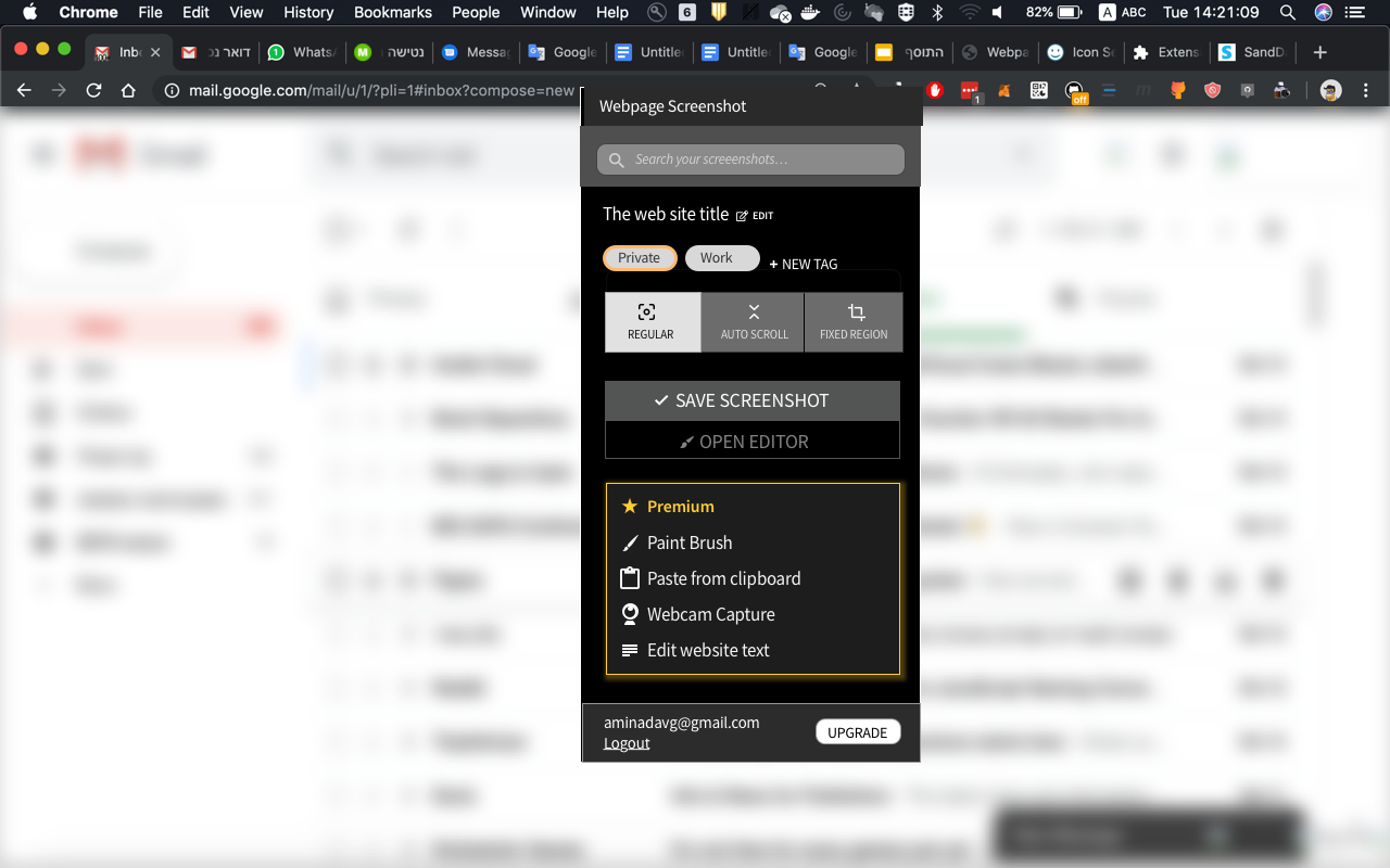 网页截图 - Screenshot Extension截图2
