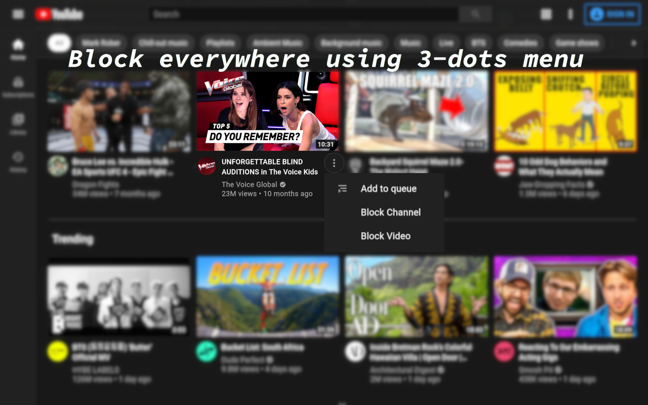 BlockTube截图3
