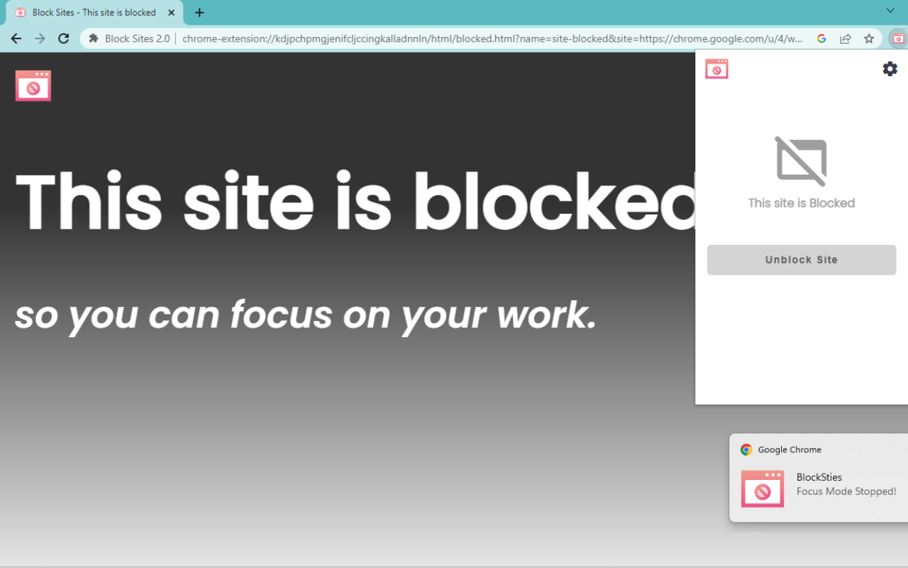 Block Sites 2.0截图3
