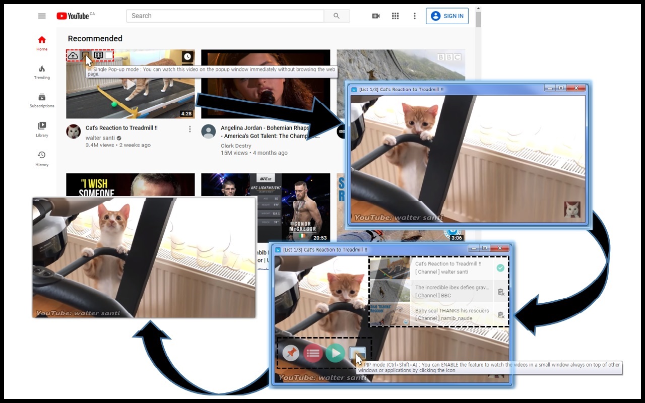 Easy-Watch for YouTube截图4