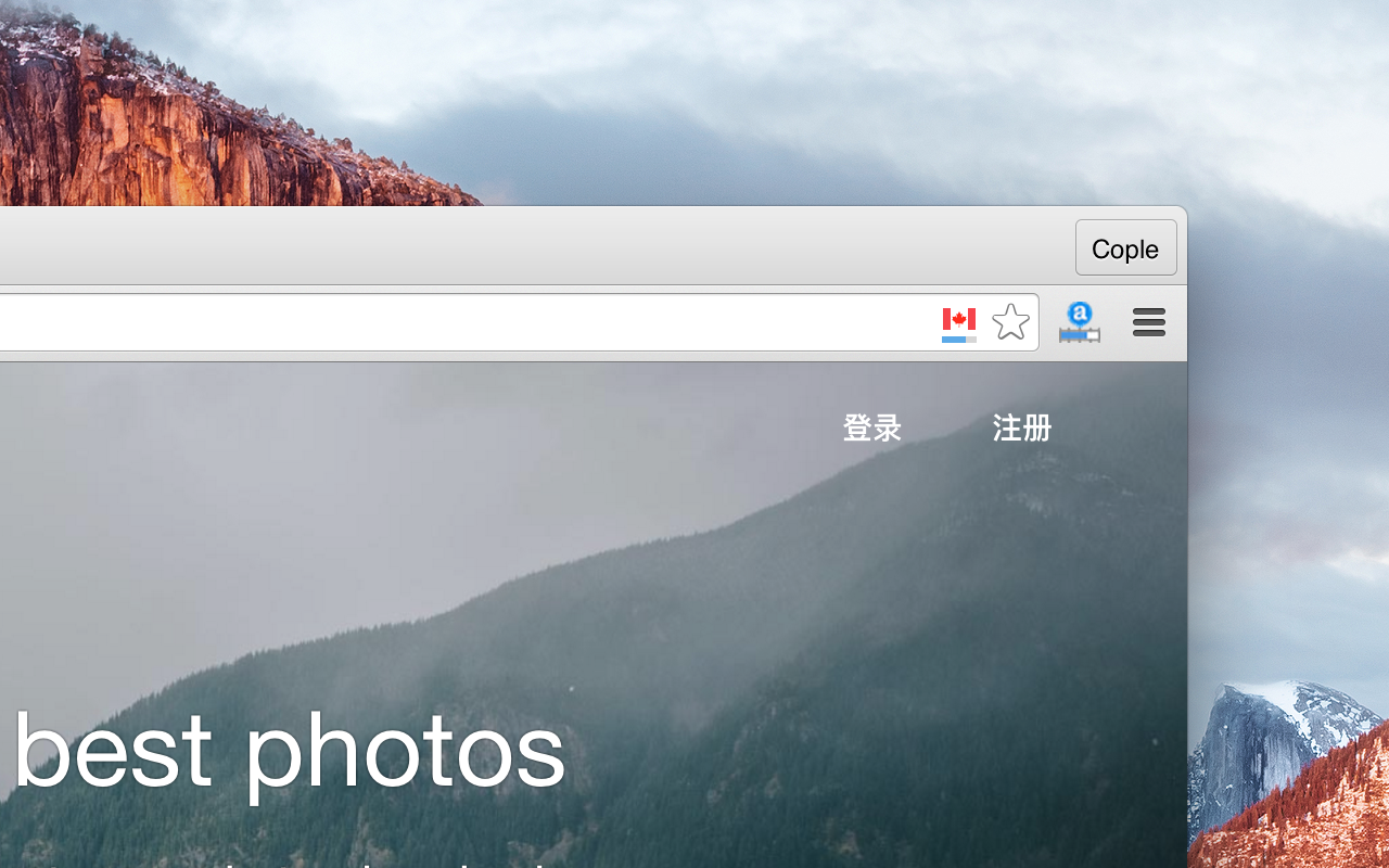 DomainFlag截图4