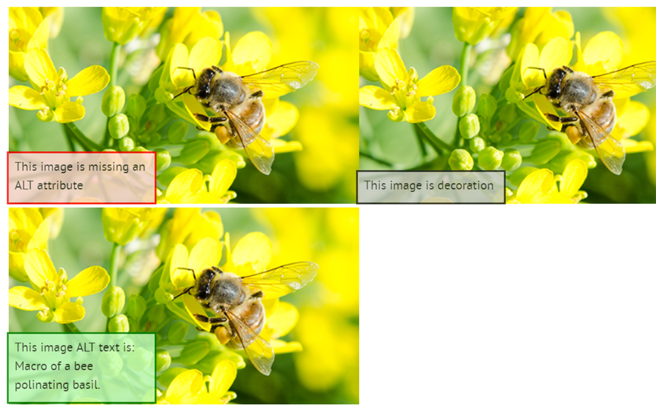 Image ALT截图1