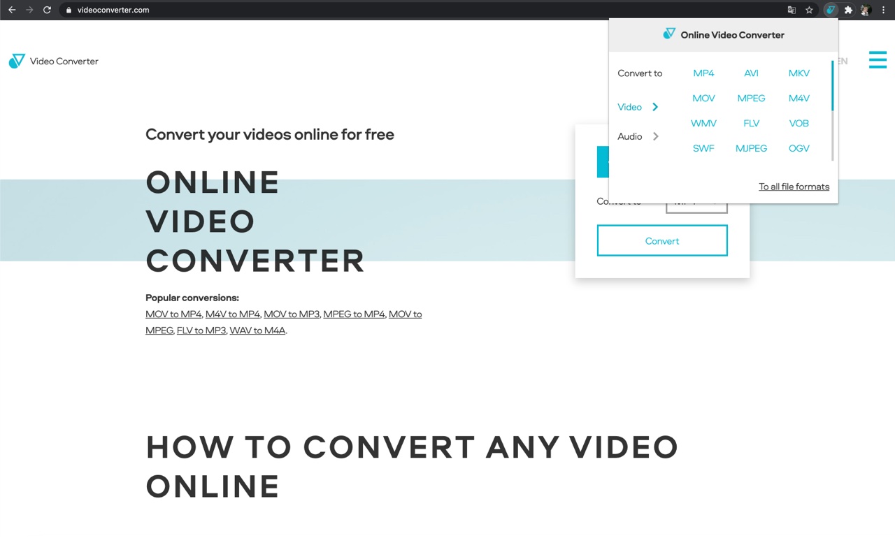 Online Video Converter截图2