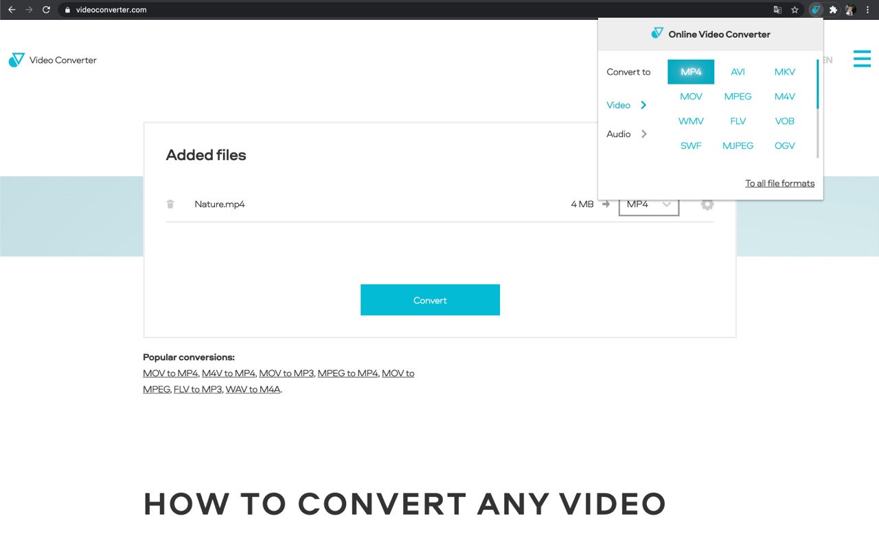 Online Video Converter截图3