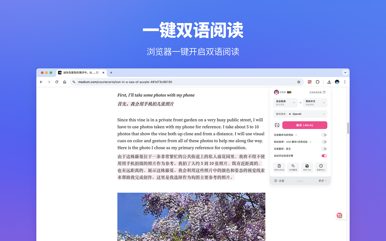 沉浸式翻译 - 网页翻译插件 | PDF翻译 | 免费截图3