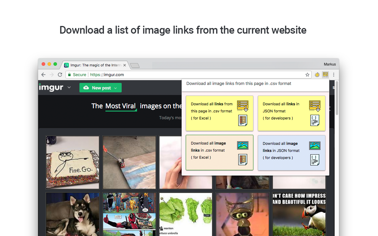 Copy all links and image links to CSV or JSON截图1