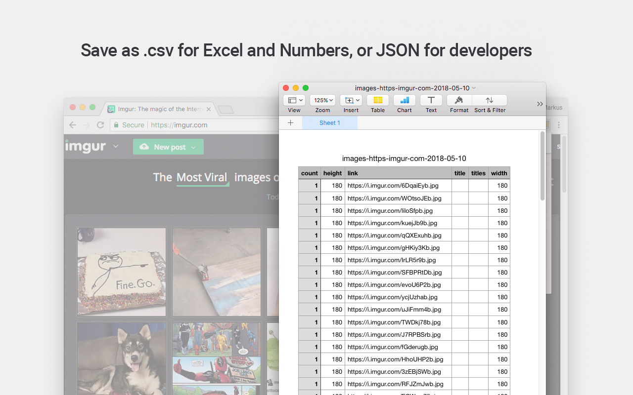 Copy all links and image links to CSV or JSON截图2