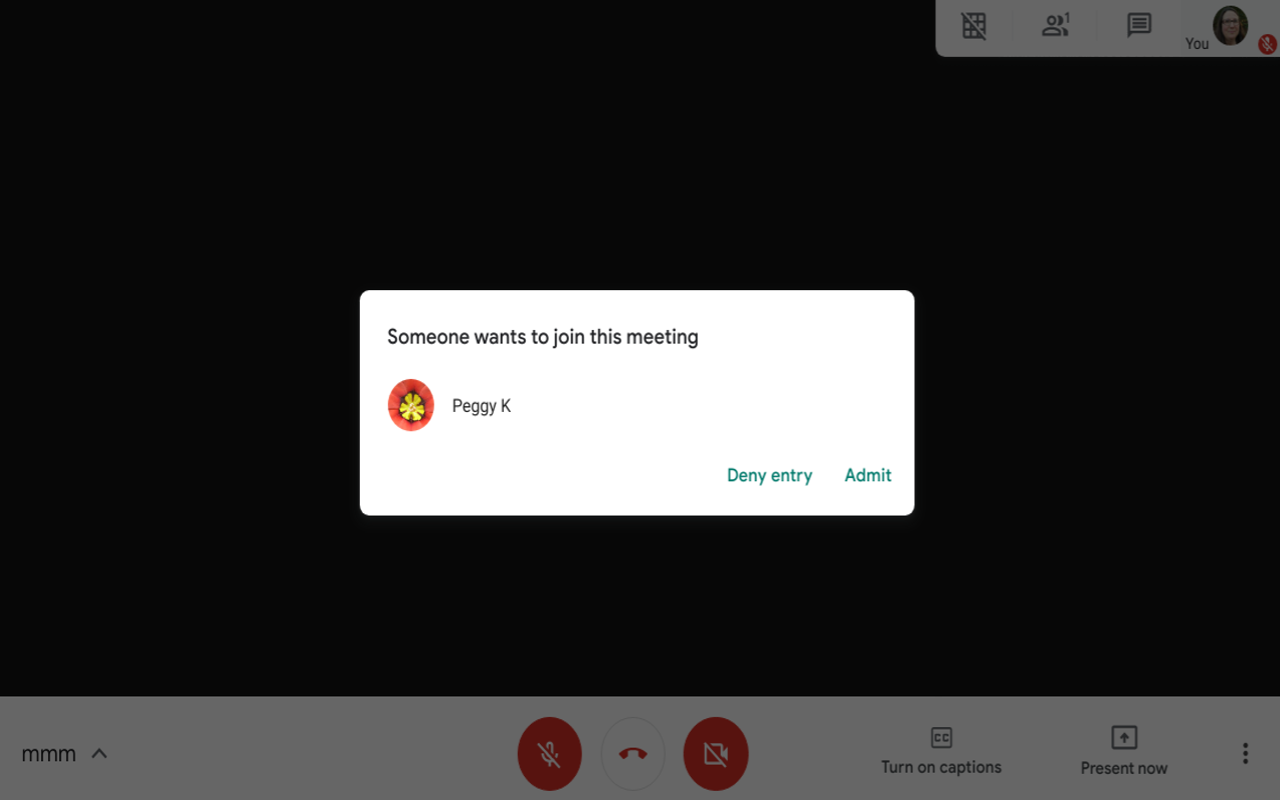 Meet auto admit截图1