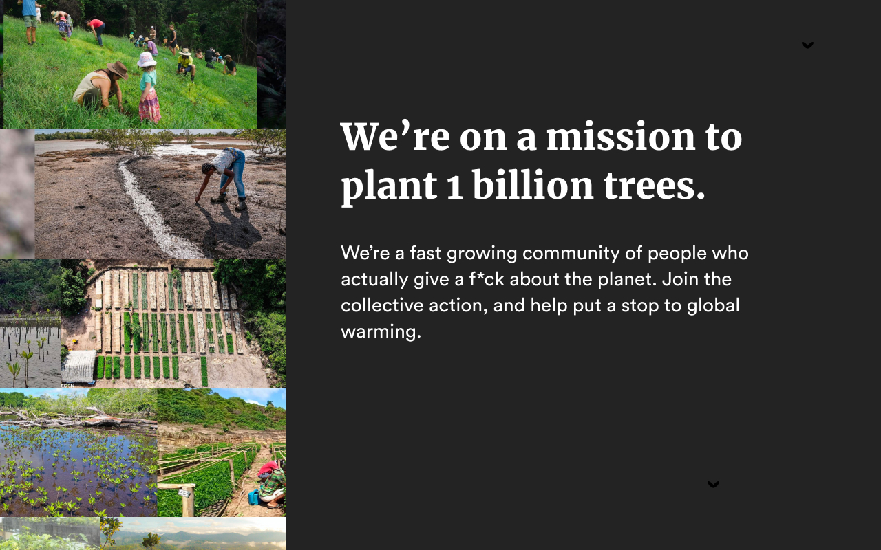 Our Forest — Plant trees with your browser截图2