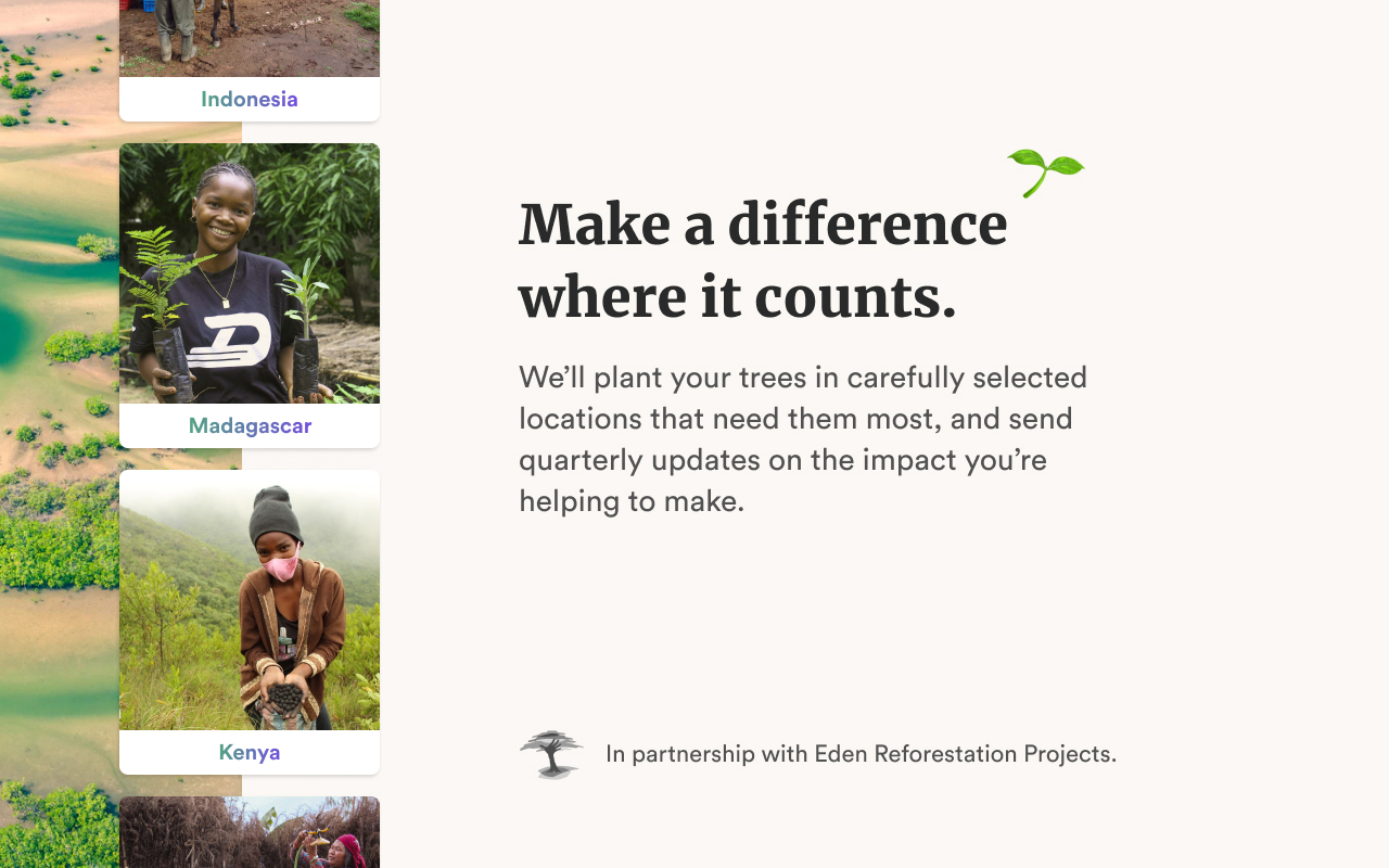 Our Forest — Plant trees with your browser截图4