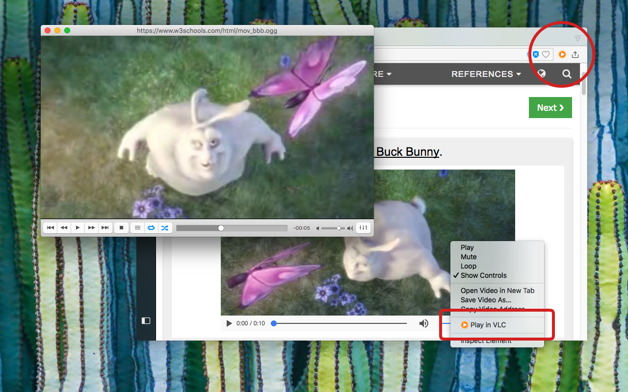 Play in VLC™截图1