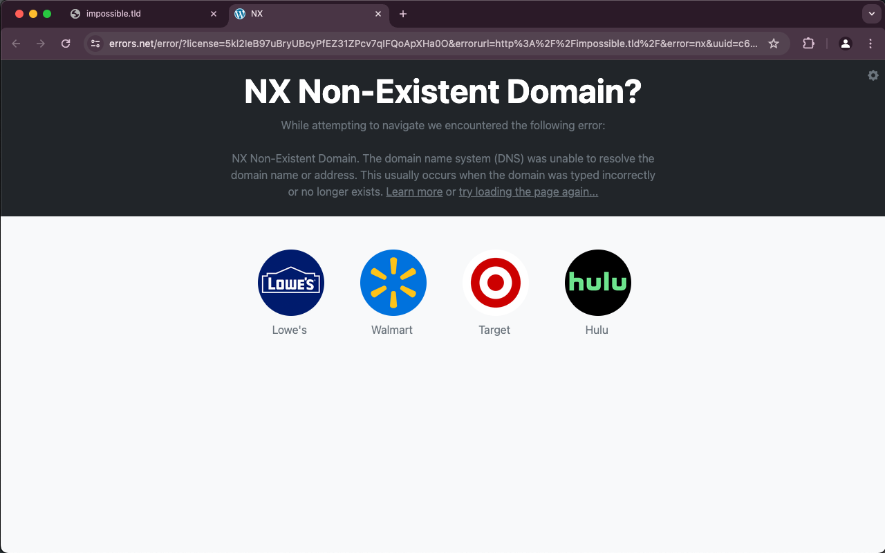 Errors.net official extension截图4