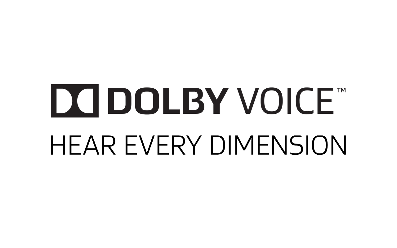 Dolby Voice 1.3截图1