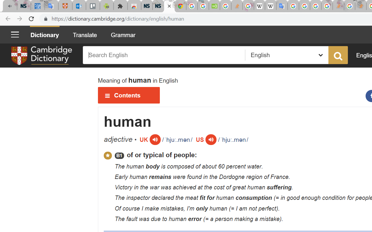 Cambridge Dictionary截图1