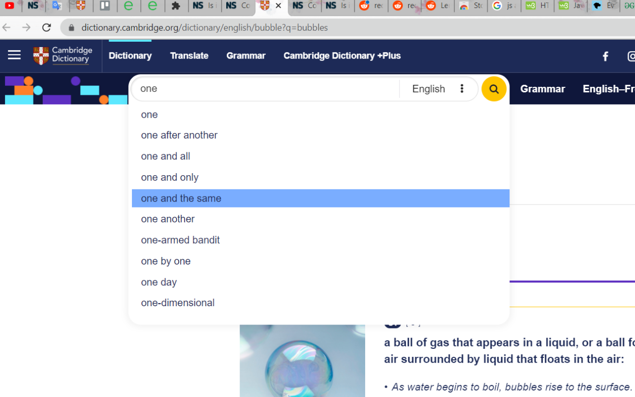 Cambridge Dictionary截图2