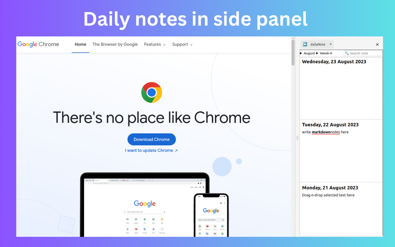 dailyNote - 在侧面板中记下每日笔记截图2