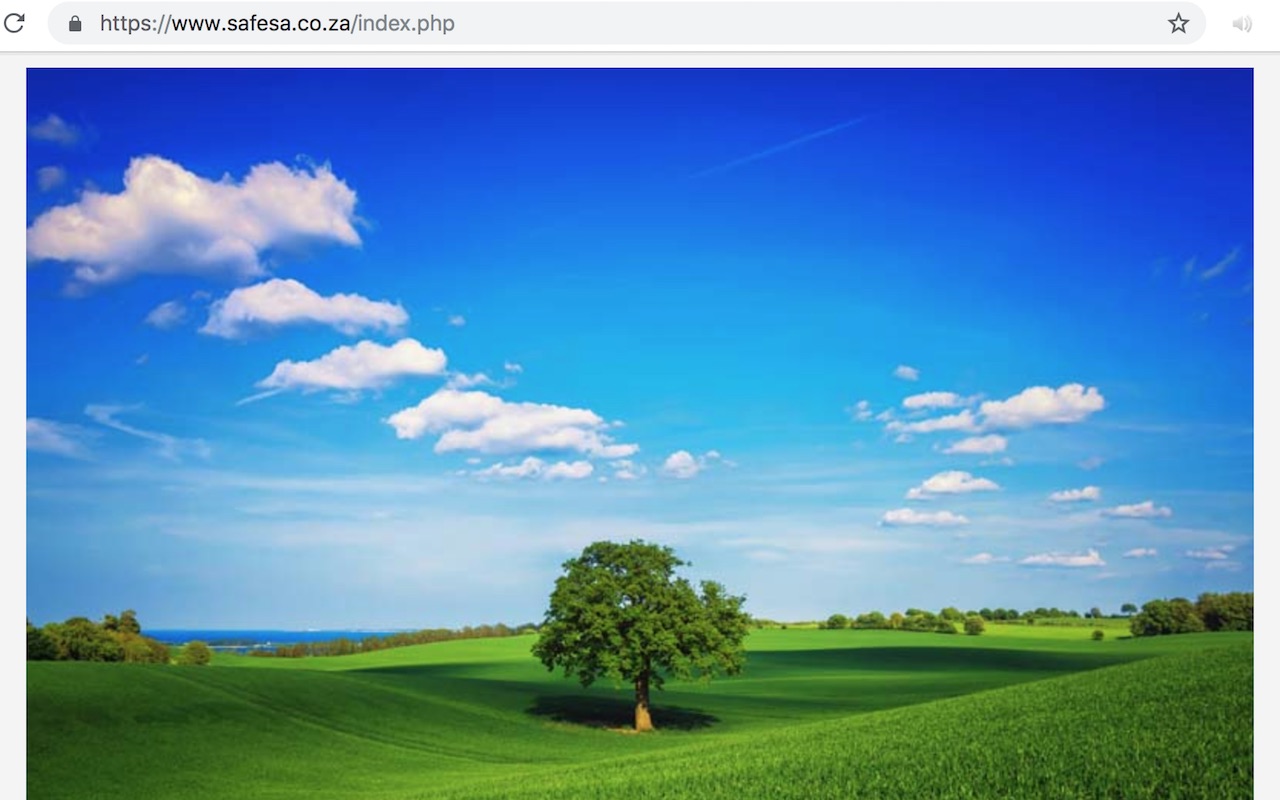 Background Notification Sound截图1