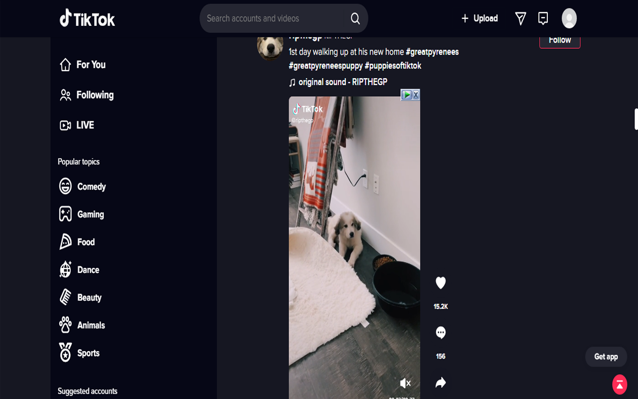 Tiktok Darkmode + Multi Column截图2