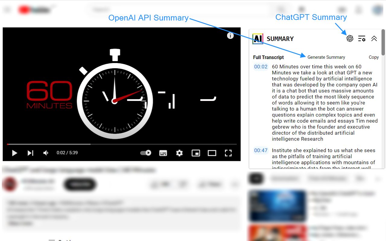 Youtube Transcript AI Summary截图3