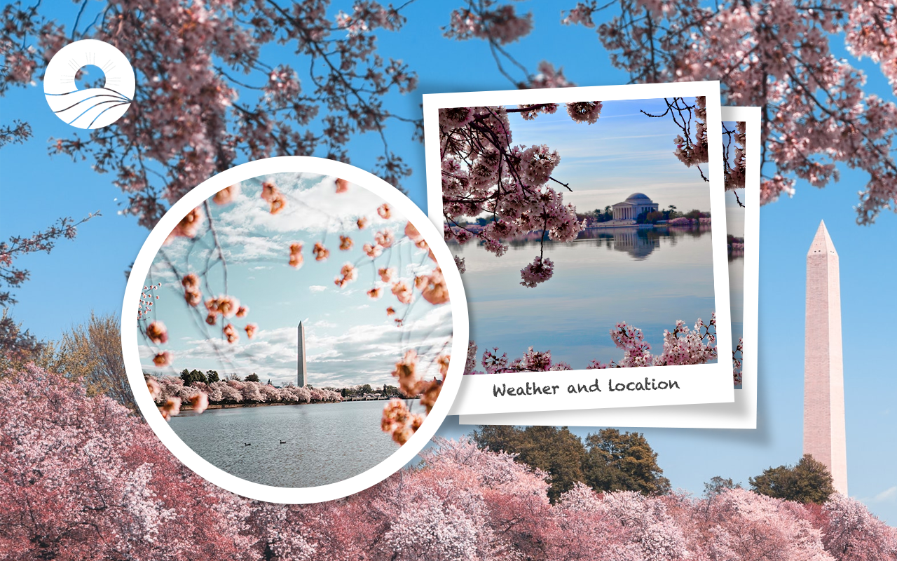 MyTravel Tab截图1