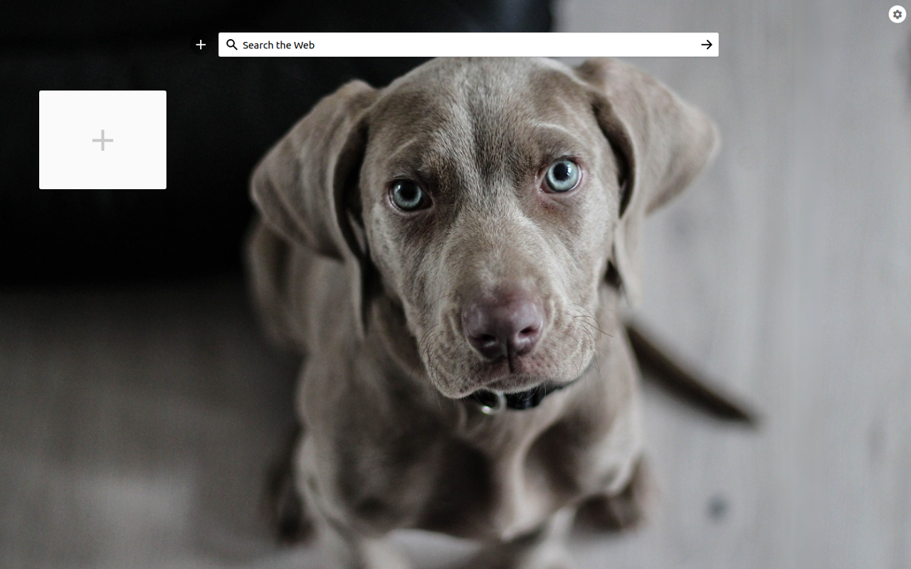 Speed Dial Dogs截图1
