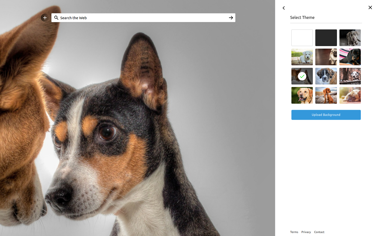 Speed Dial Dogs截图2