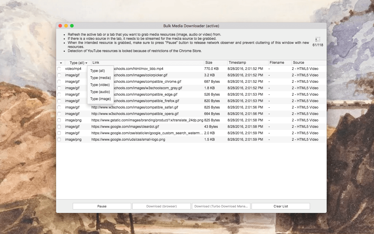 Bulk Media Downloader截图1