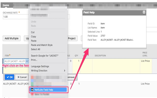 NetSuite Advanced Field Help截图2