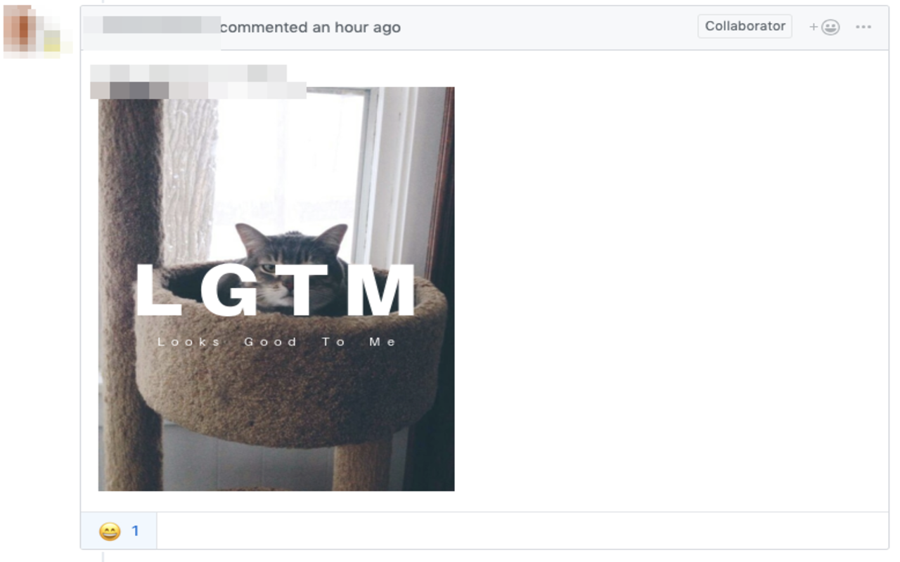 LGTM截图2