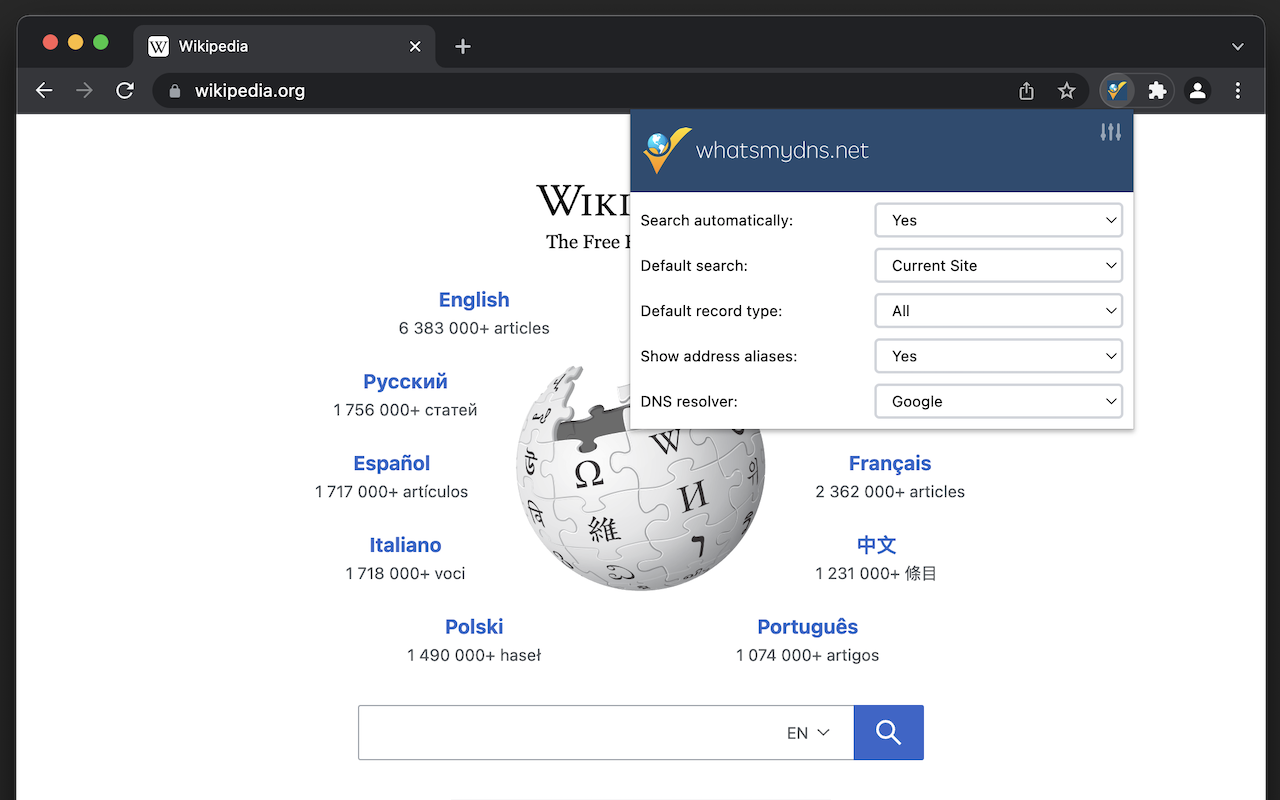 DNS Lookup截图2