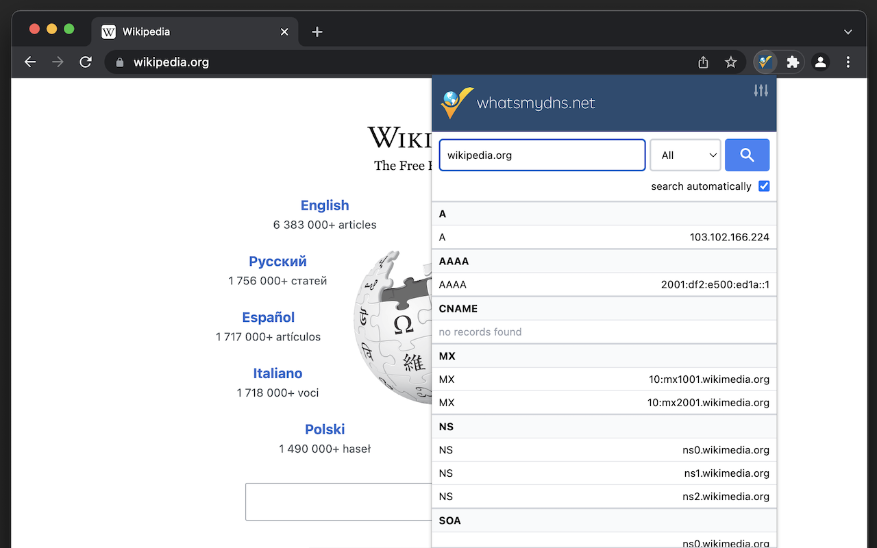 DNS Lookup截图3