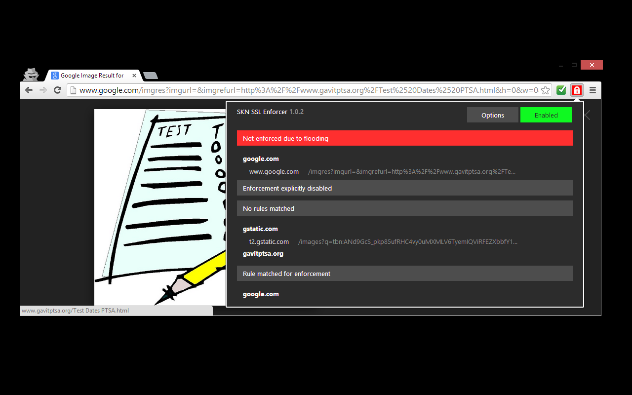SKN SSL Enforcer截图1