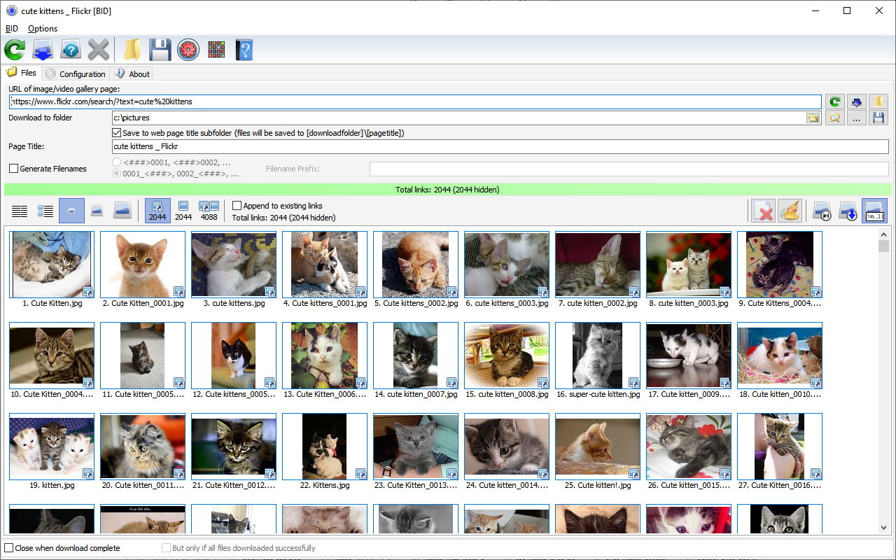 Bulk Image Downloader截图1