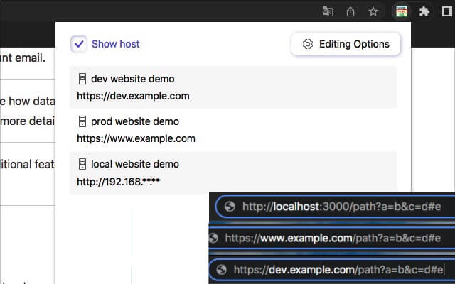 URL's Host Switcher截图1
