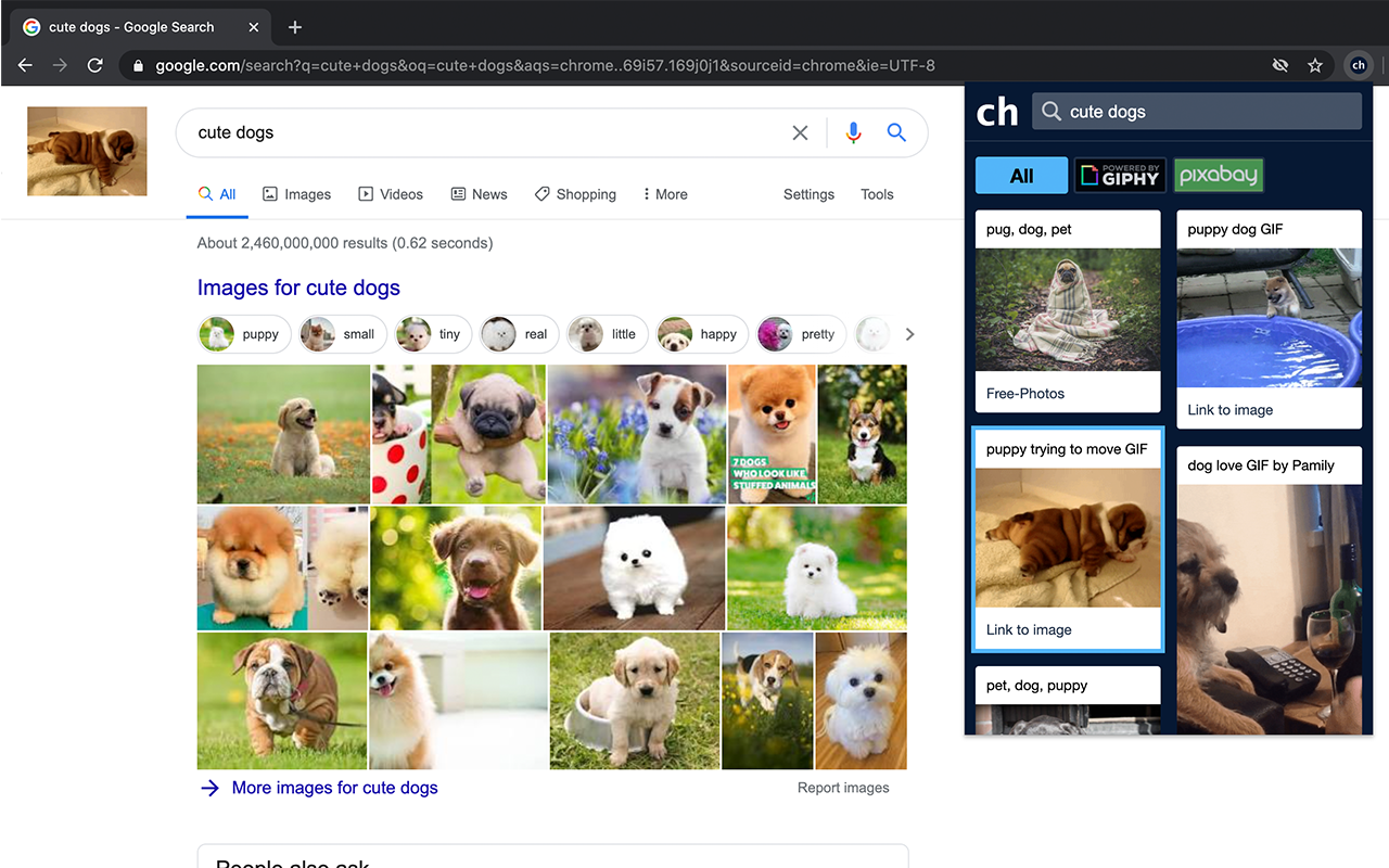Changer - change google logo截图2