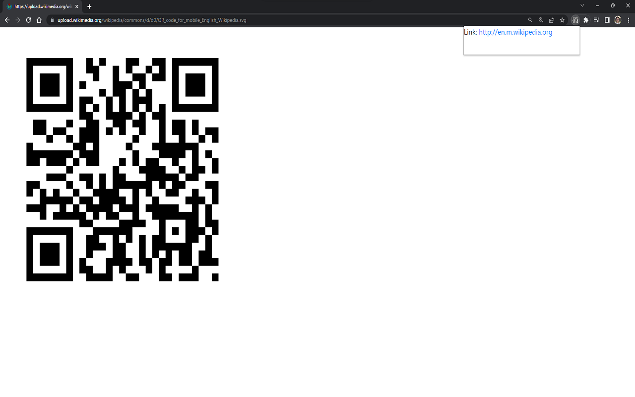 QR Code Scanner截图1