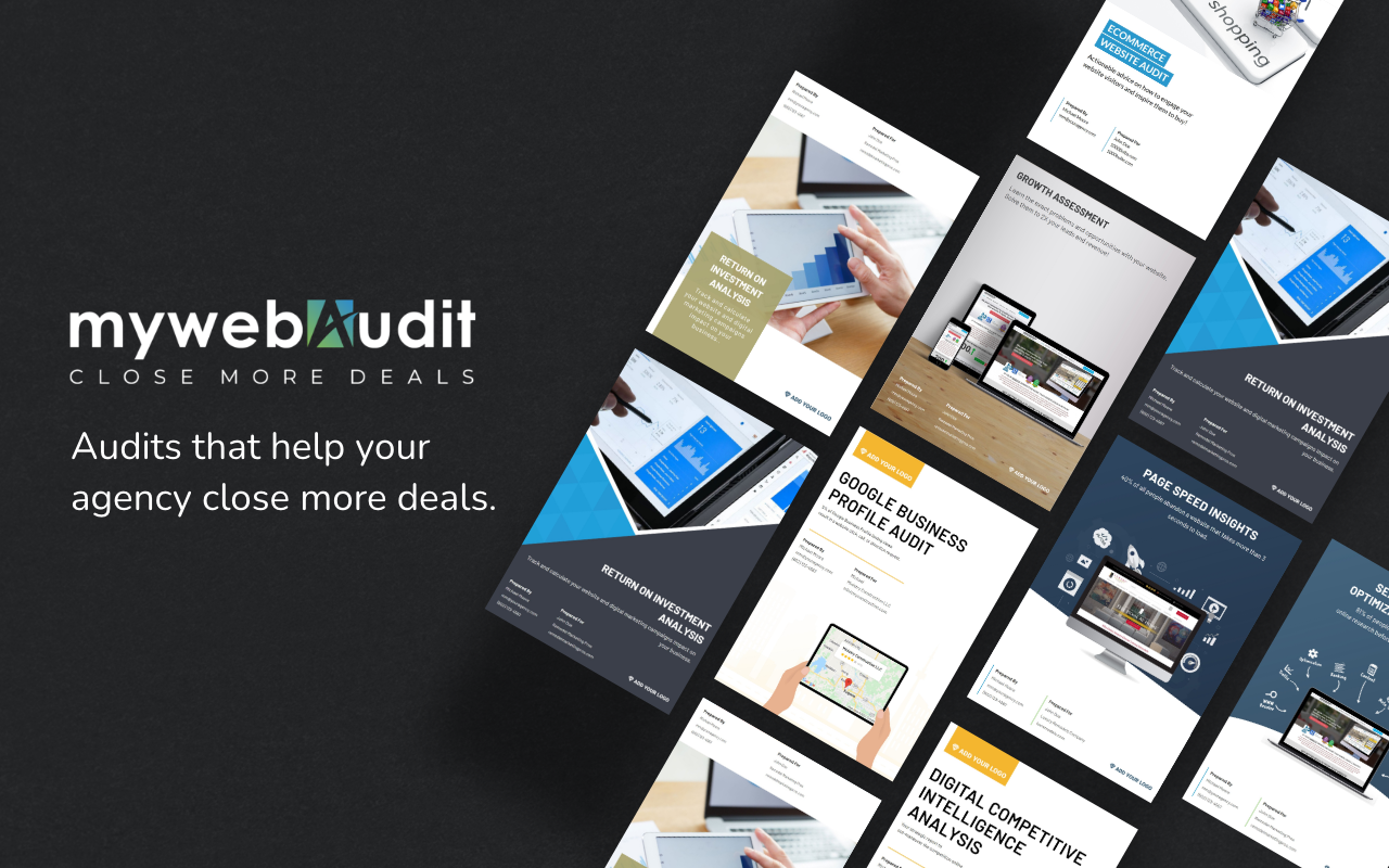 My Web Audit截图2