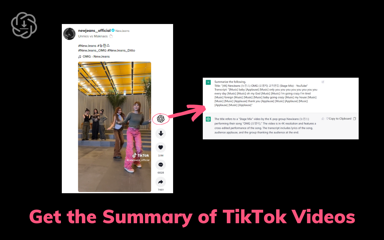 TikTok去水印视频下载和视频脚本生成器截图1