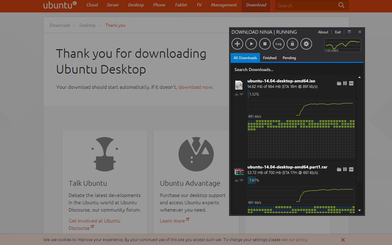 Ninja Download Manager截图1