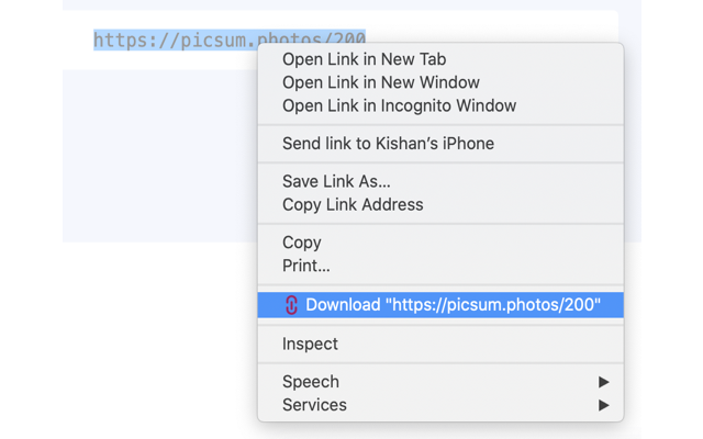 Text URL Downloader截图1