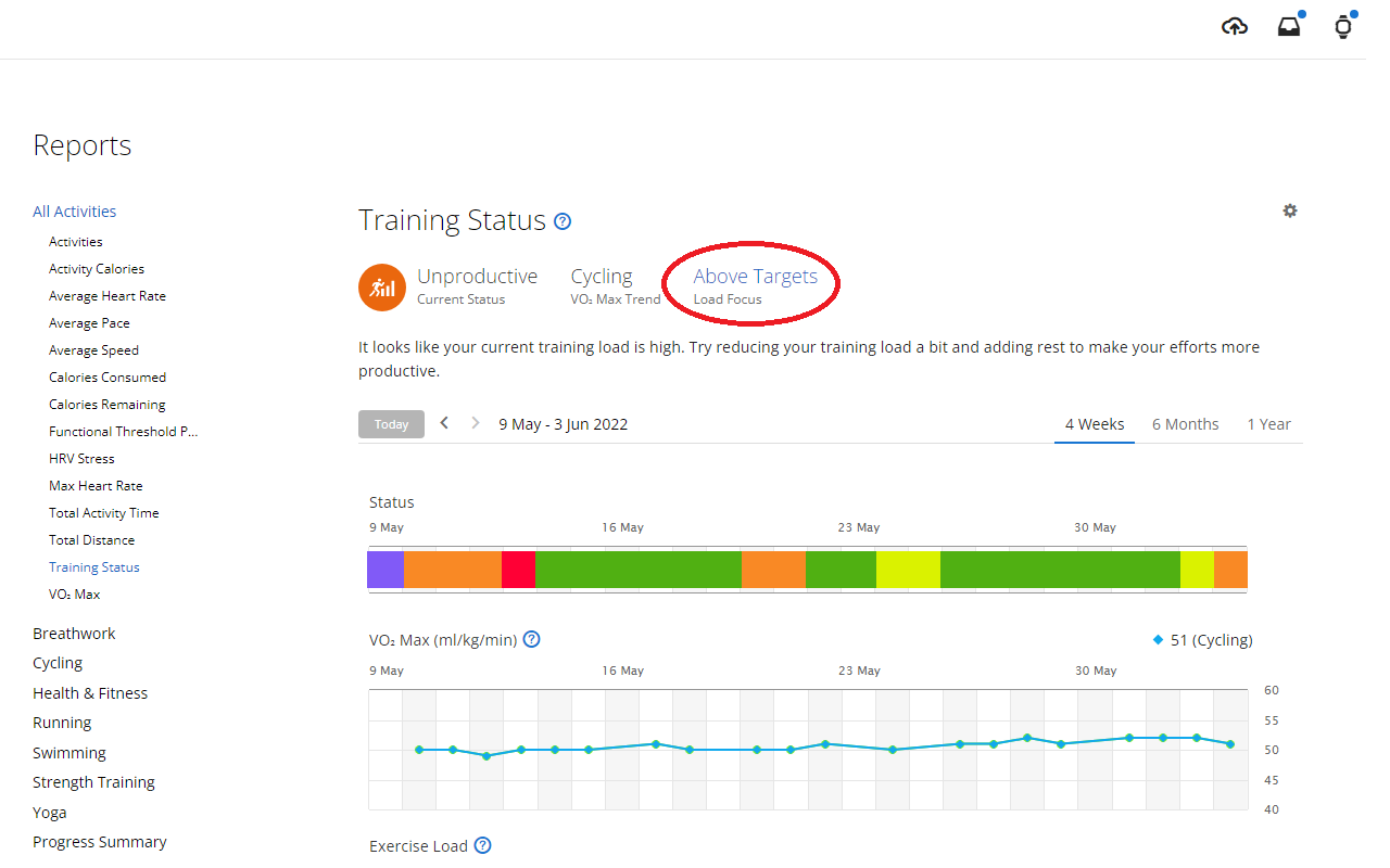 Garmin Connect Web Missing LoadFocus Fixer截图2