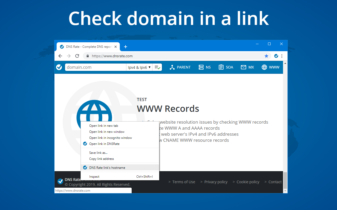 DNS Report by DNS Rate截图2