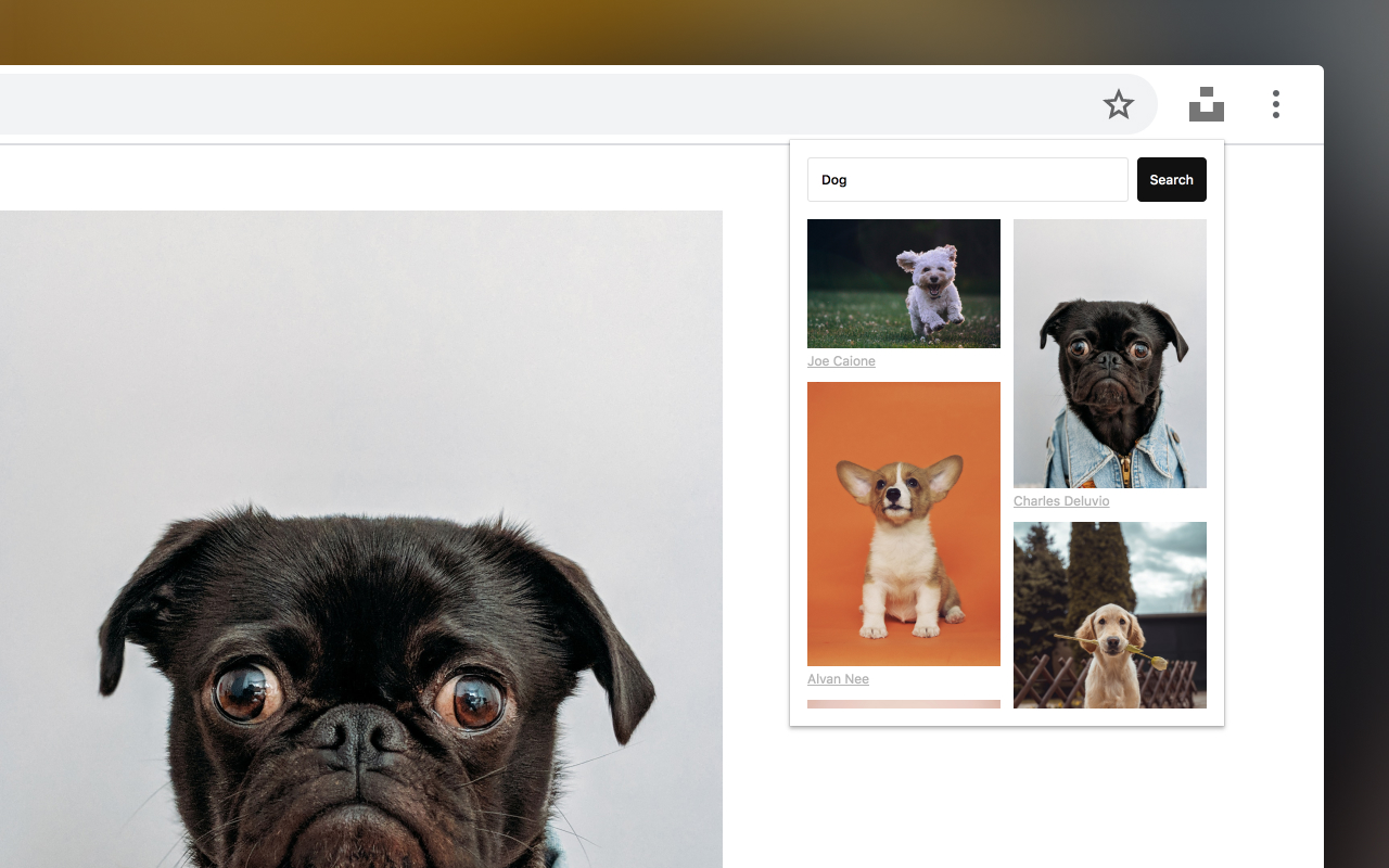 Unsplash For Chrome截图1