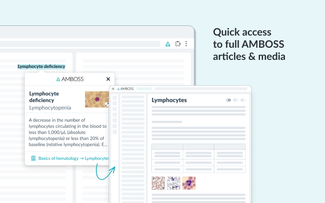 AMBOSS: Medical Knowledge Everywhere截图2