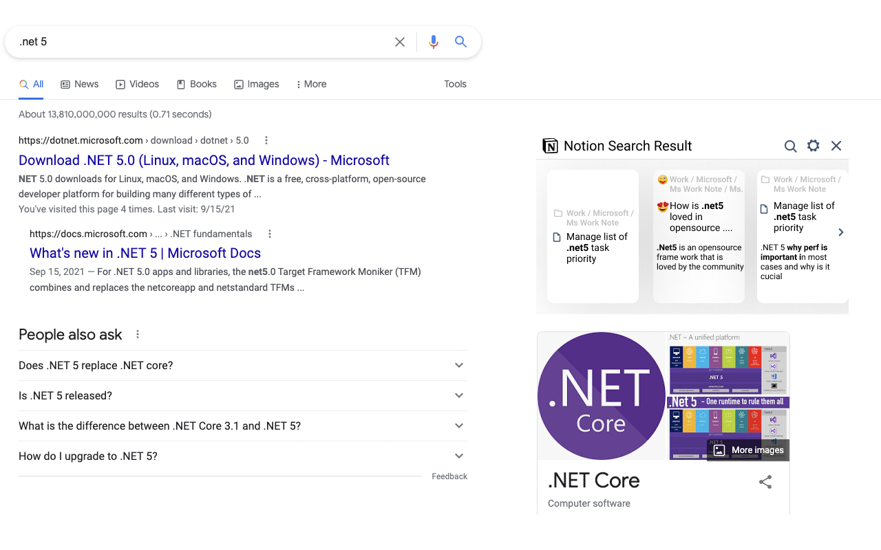 Notion Search Assistant截图1