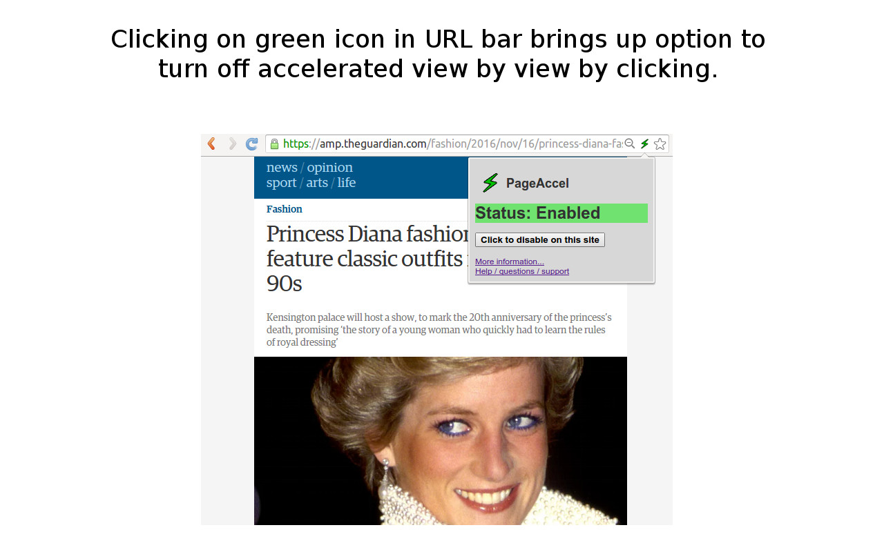 PageAccel截图1